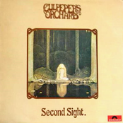 Late Night Woman Blues by Culpeper's Orchard