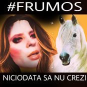 Niciodată Să Nu Crezi - Single