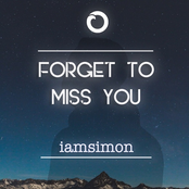 Forget to Miss You - Single
