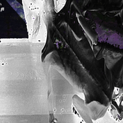 hatred constellation