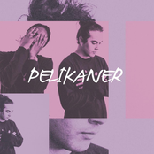 Pelikaner (Med Arif)