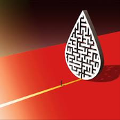 Head in a Hornet's Nest