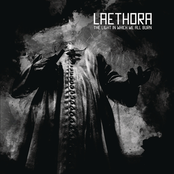 The Light in Which We All Burn