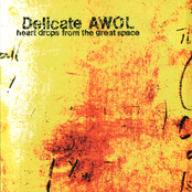 For The Afternoon by Delicate Awol