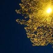 Anger Without Motive