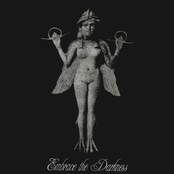 Embrace the Darkness