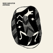 Ruede Hagelstein: Apophenia