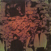 Black Beauty & Rarities