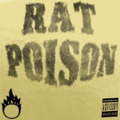 Rat Poison