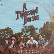 A Thousand Horses: Bridges