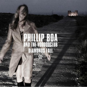 The Race Is Over by Phillip Boa & The Voodooclub