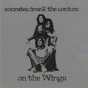 On The Wings (2022)
