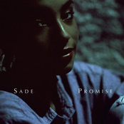 Punch Drunk by Sade