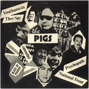 Total Eclipse Of The Heart by The Pigs