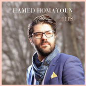 Hamed Homayoun: Hits