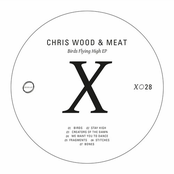 Birds Flying High EP