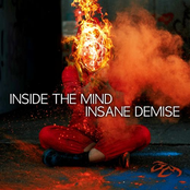 Inside The Mind Insane Demise