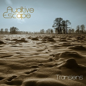 The Roots by Auditive Escape