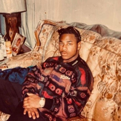 Cattle on a Thousand Hills