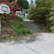 i wish i​’​d taken a different path​.​.​. (​+​)