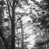 When This Is All Over