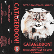 Catageddon!