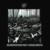 Decomposition Part 3: Rigor Mortis