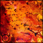 Set Yourself On Fire