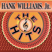 The Kind Of Woman I Got by Hank Williams Jr.