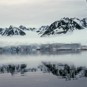 Arctic Sea