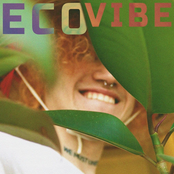 Eco Vibe