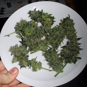 MyUnderground.pl Radio