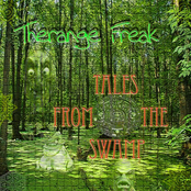 Lsd by Therange Freak