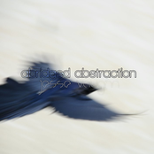 Abridged Abstraction