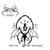 arctic winter