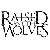 raised with wolves