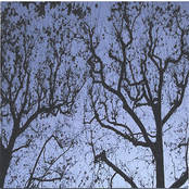 Trees Of Nerve Endings Box Set