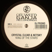 crystal clear & netsky