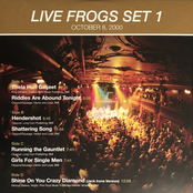 Live Frogs Set 1