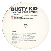 The Kitten by Dusty Kid