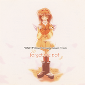 forget me not
