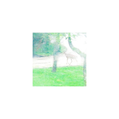 Breathe Freely - Single