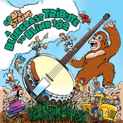 Grass Stains: A Bluegrass Tribute To Blink-182