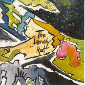 The Lonely Rat