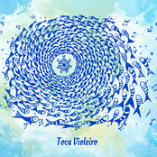 Toca Violeiro