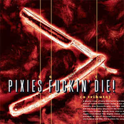 Pixies Fuckin' Die! (a tribute)