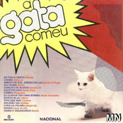 A Gata Comeu