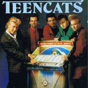 Teencats