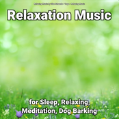 Relaxation Music for Sleep, Relaxing, Meditation, Dog Barking
