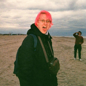 vogel auf dem drahtseil